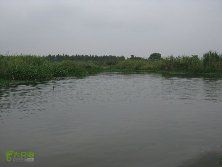 2015-8-20-2下渚湖湿地水上行IMG_0160