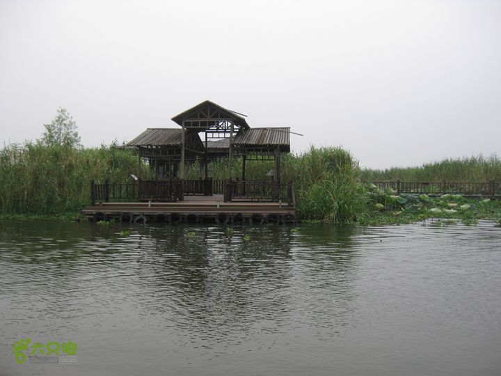 2015-8-20-2下渚湖湿地水上行IMG_0161
