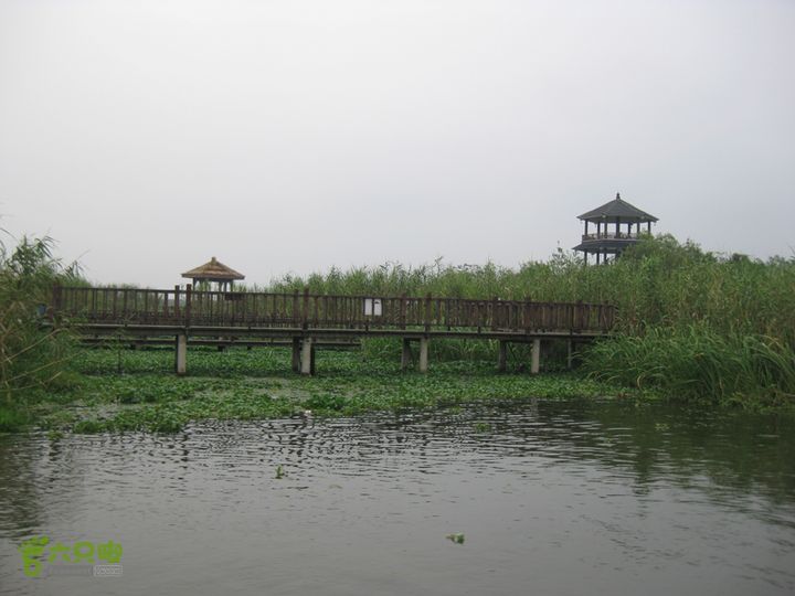 2015-8-20-2下渚湖湿地水上行IMG_0162