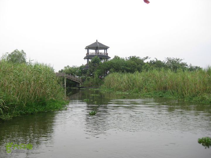 2015-8-20-2下渚湖湿地水上行IMG_0163