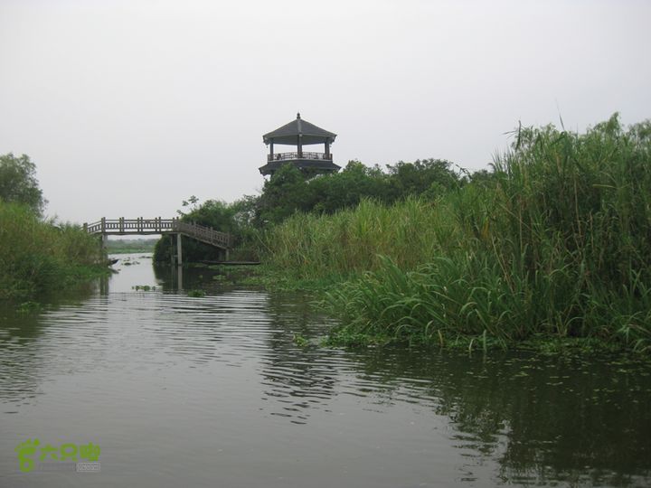2015-8-20-2下渚湖湿地水上行IMG_0164