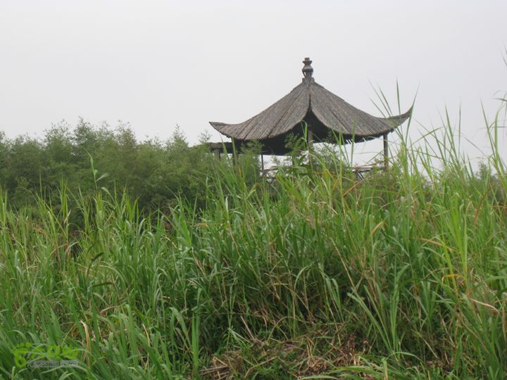 2015-8-20-2下渚湖湿地水上行IMG_0167
