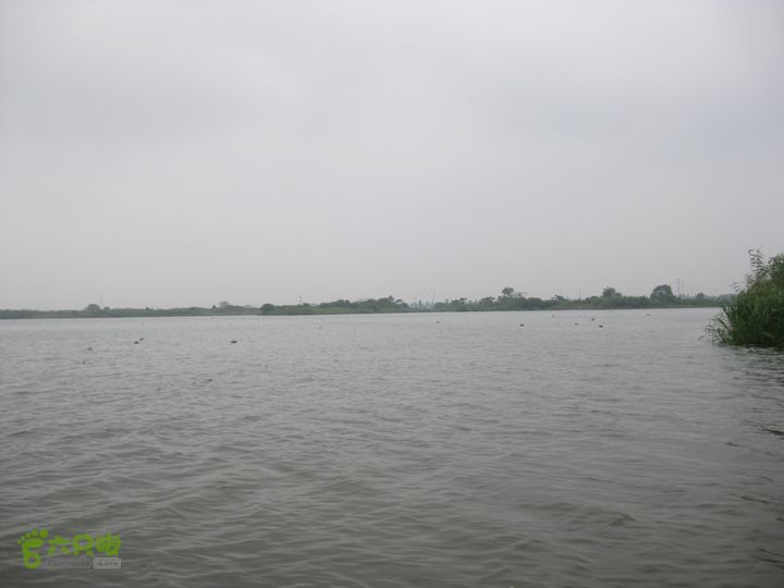 2015-8-20-4下渚湖湿地步行2IMG_0188