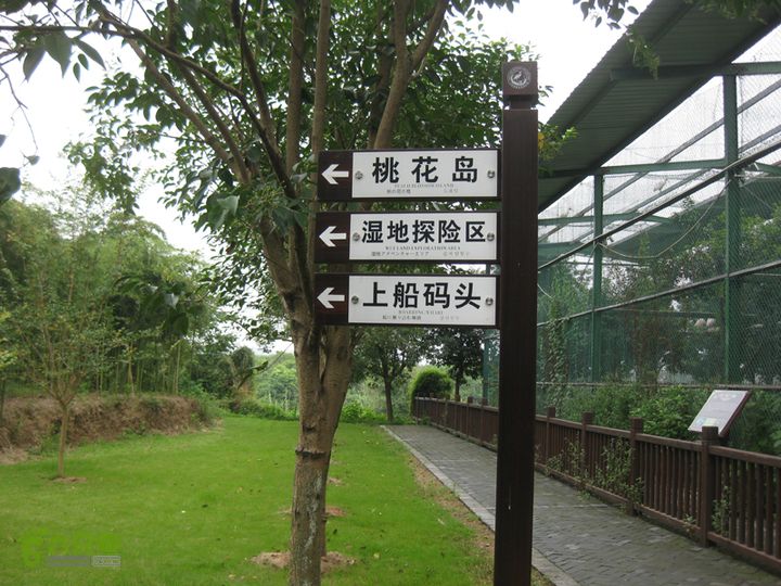 2015-8-20-5下渚湖湿地步行3IMG_0211