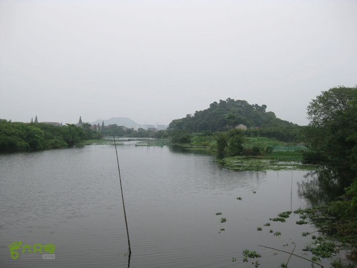 2015-8-20-5下渚湖湿地步行3IMG_0212