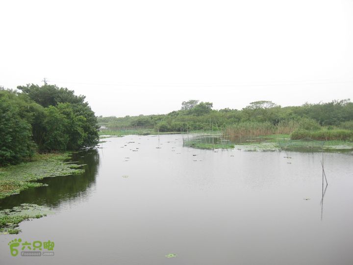 2015-8-20-5下渚湖湿地步行3IMG_0213