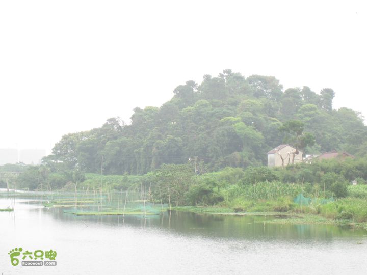 2015-8-20-5下渚湖湿地步行3IMG_0214