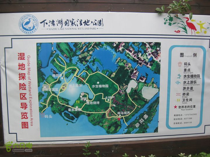 2015-8-20-5下渚湖湿地步行3IMG_0218