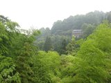 IMG_0017