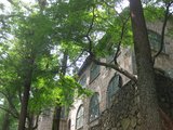 IMG_0021
