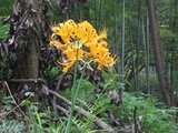 IMG_0025