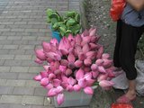 IMG_0171