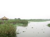 IMG_0173