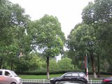 IMG_0261