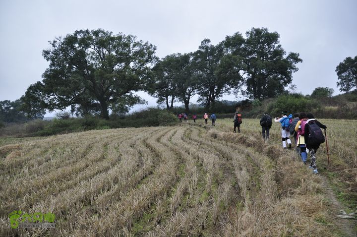 石城－长溪赏枫专线二天穿越_DSC8108