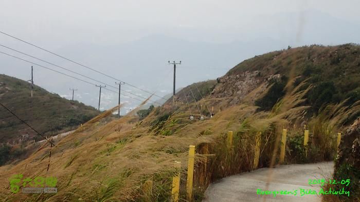 2015 12 05粉嶺、坪洋、粉嶺、林村 - 三個登PC054017