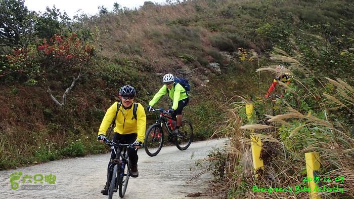 2015 12 05粉嶺、坪洋、粉嶺、林村 - 三個登PC054023