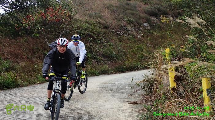 2015 12 05粉嶺、坪洋、粉嶺、林村 - 三個登PC054031