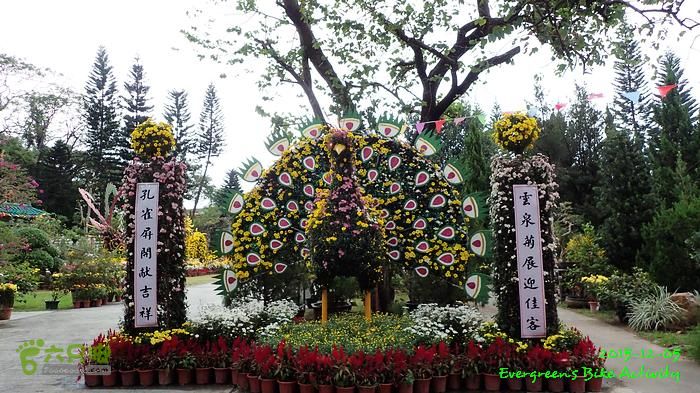 2015 12 05粉嶺、坪洋、粉嶺、林村 - 三個登PC054049