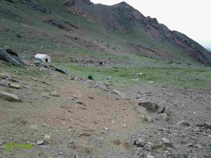 新疆博格达峰二号羊圈、起步132公里