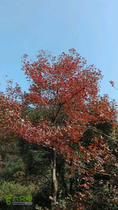 童村一上周村未命名