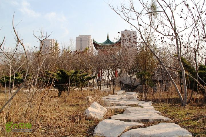 2015-12-12徒步秦皇河IMG_7782