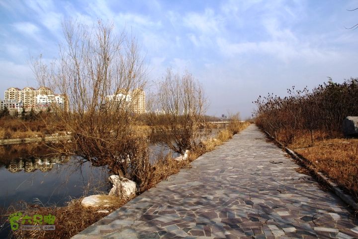 2015-12-12徒步秦皇河IMG_7783