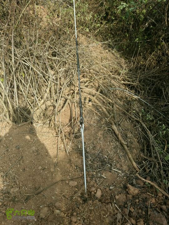 中国移动临沧分公司6.2项目工程，永德大勐统河四级站-班木线路工程（董建平）地锚拉线