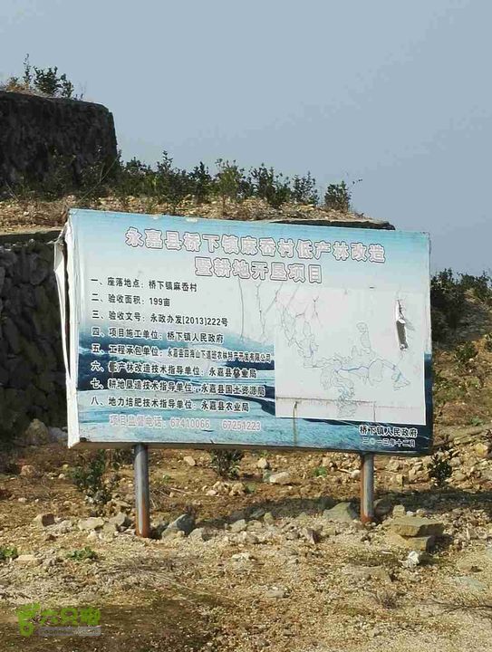 麻岙石马尖未命名