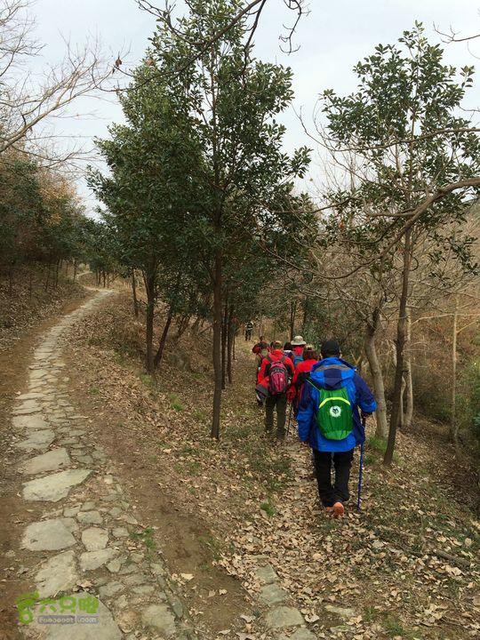 151219慈溪白马岙口海龙山倒爬岭环线