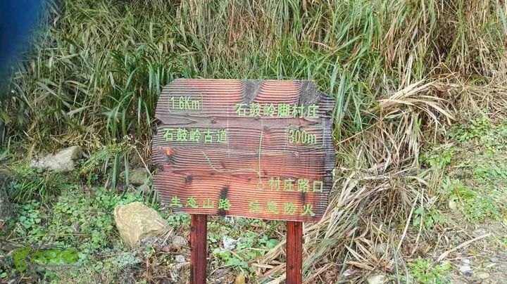 象山屠家园村—大雷山—溪东村环线未命名