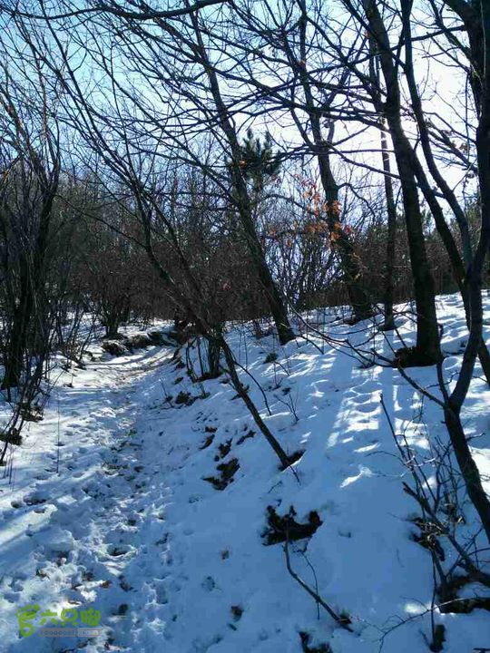 20151231小岭底-鹤度岭-不老青－七里会未命名