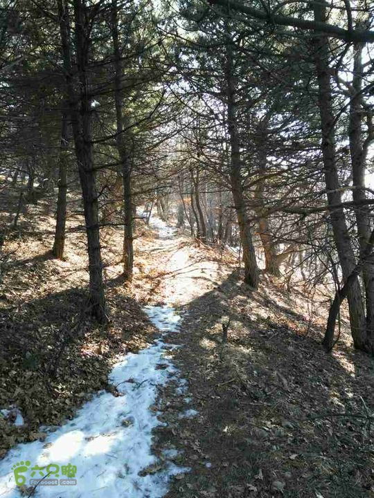 20151231小岭底-鹤度岭-不老青－七里会未命名