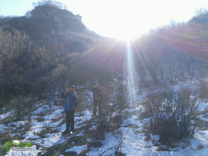 20151231小岭底-鹤度岭-不老青－七里会未命名