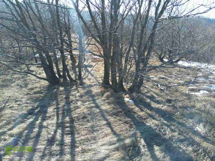 20151231小岭底-鹤度岭-不老青－七里会未命名