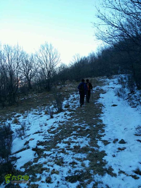 20151231小岭底-鹤度岭-不老青－七里会未命名