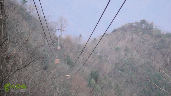 观顶 - 商量岗 - 里村 - 李岙DSC08999