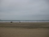 IMG_0443