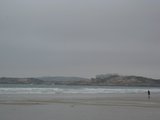IMG_0459