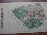IMG_0539