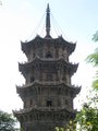 IMG_0540.r
