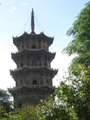 IMG_0541.r