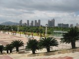 IMG_0591