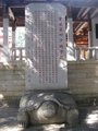 IMG_0597.r