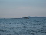IMG_0619