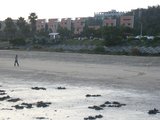 IMG_0620