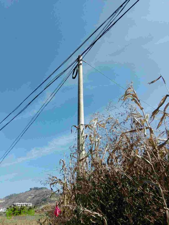 茂兰-哨街杆路隐患哨街-茂兰41#