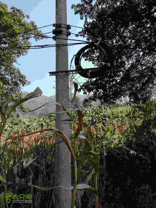 茂兰-哨街杆路隐患哨街-茂兰34#