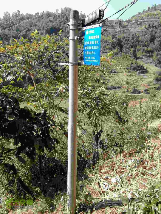 茂兰-哨街杆路隐患哨街-茂兰33#