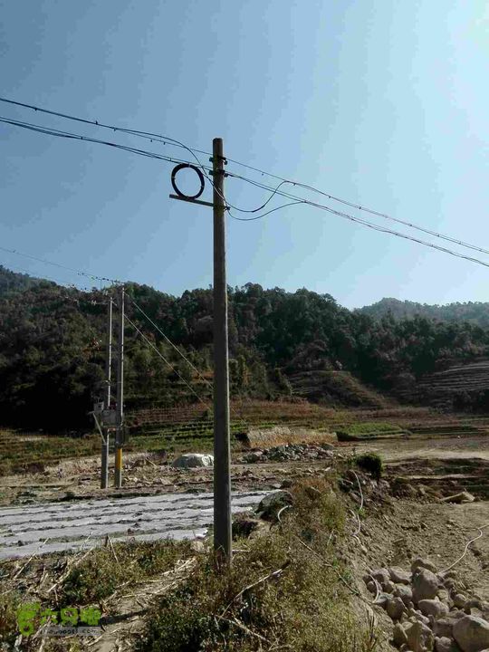 茂兰-哨街杆路隐患哨街-茂兰30#